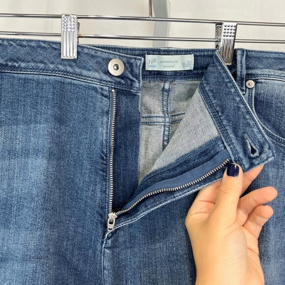 NWT J. JILL Authentic Fit Embroidered Cropped Jeans Cape Code Wash Blue 26 Plus - Picture 7 of 11